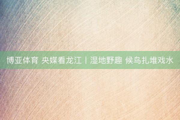 博亚体育 央媒看龙江丨湿地野趣 候鸟扎堆戏水