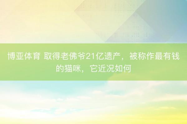 博亚体育 取得老佛爷21亿遗产，被称作最有钱的猫咪，它近况如何