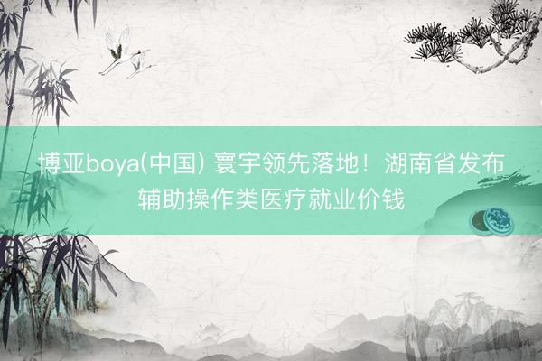 博亚boya(中国) 寰宇领先落地！湖南省发布辅助操作类医疗就业价钱
