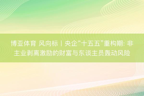 博亚体育 风向标丨央企“十五五”重构期: 非主业剥离激励的财富与东谈主员轰动风险