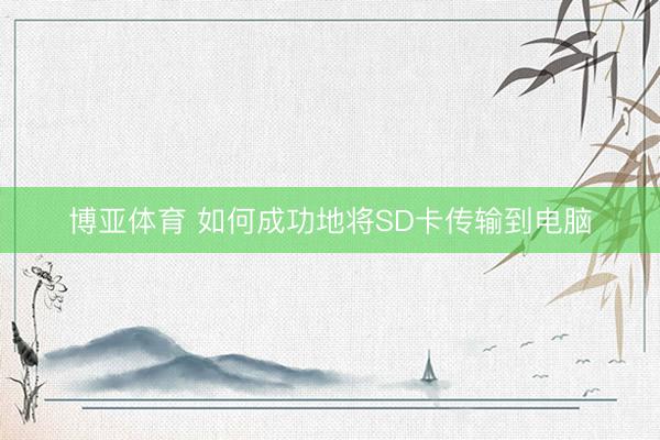 博亚体育 如何成功地将SD卡传输到电脑