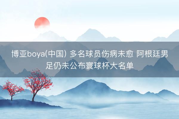 博亚boya(中国) 多名球员伤病未愈 阿根廷男足仍未公布寰球杯大名单