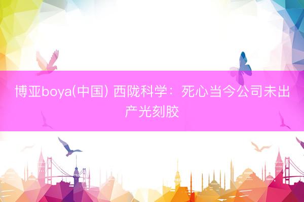 博亚boya(中国) 西陇科学：死心当今公司未出产光刻胶