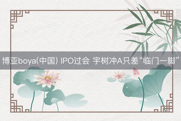 博亚boya(中国) IPO过会 宇树冲A只差“临门一脚”