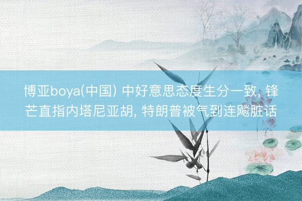 博亚boya(中国) 中好意思态度生分一致， 锋芒直指内塔尼亚胡， 特朗普被气到连飚脏话