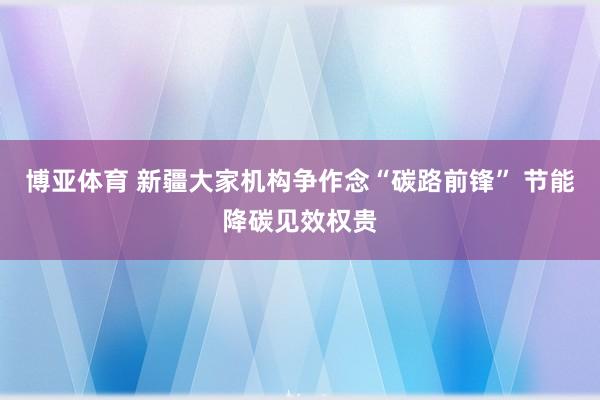 博亚体育 新疆大家机构争作念“碳路前锋” 节能降碳见效权贵