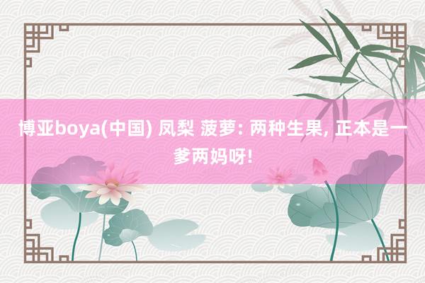 博亚boya(中国) 凤梨 菠萝: 两种生果, 正本是一爹两妈呀!